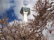 花見旅2016 第2章 北海道前編 花見旅2016 第2章 北海道前編