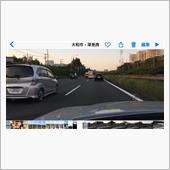 馬と鹿が  走ってました(&#180; ...