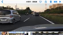 馬と鹿が  走ってました(&#180;Д` )