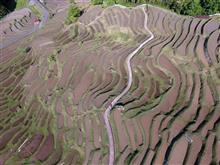 紀伊半島旅行