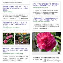 幻のバラを検索してるぜぇぇ♂♂♂