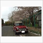 桜も今年は見納めかな？