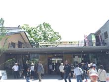 京都市立動物園に行ってきた