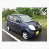 新緑の季節に