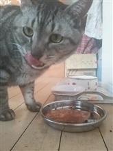 連休が終わりました(/&#180;Д｀)/