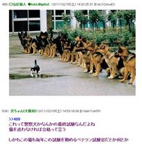 色々と面倒なので…