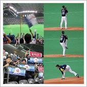 野球観戦（北海道日本ハムVS ...