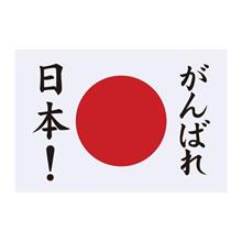 がんばれ日本!いいぞ女子バレー☆ がんばれ日本!いいぞ女子バレー☆