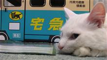 ハイドラ八王子城跡～歩行編（必要なのは体力と電力）
