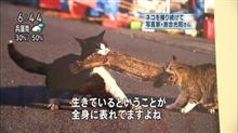 ホメラレモセズ、クニモサレズ…