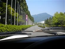 森の緑 