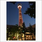 行って来ました…