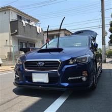 うれしい気持ち と やっかみ(笑 うれしい気持ち と やっかみ(笑