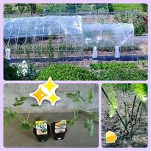 トマト雨よけ！