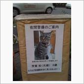好きな奴がお前のことを好きに ...