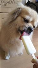 お誕生日♪ お誕生日♪