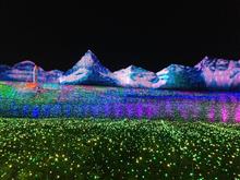 ミラカス・ライセンスLED。