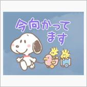 フィリピン海プレートにて遊ん ...