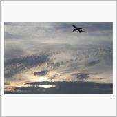160526HND夕方