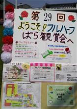 薔薇 2016年 フルハーフばら鑑賞会 1 薔薇 2016年 フルハーフばら鑑賞会 1