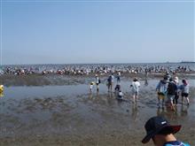 富津で潮干狩り 2016