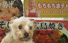 早朝お散歩② 早朝お散歩②