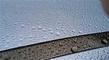 雨の季節は早期洗車！！。