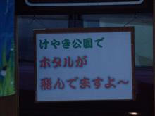 ホタルが飛んでいますよ～♪　ご近所ドライブ。