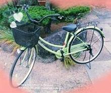 カゴ付娘さん自転車get♪