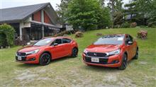 DS Avant-Garde Test Driveに行って来ました。