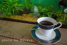 喫茶探訪 喫茶探訪