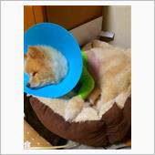 先週のお仕事・・・ナンバー封 ...