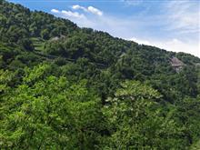 富山県道６号富山立山公園線　