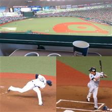 野球観戦（埼玉西武VS巨人）