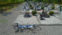 6月5日、6日