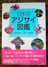 紫陽花