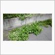 直営作業・・・・・