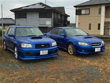 青フォレの隣に青レガを並べる