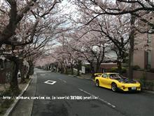 フォトギャラリー