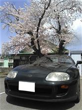 トヨタ　プロケア10・その3