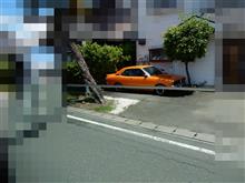 エコパの時は見かけなかったけれど・・・ エコパの時は見かけなかったけれど・・・