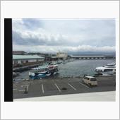 今日もハマスタ！