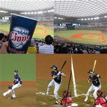 野球観戦（埼玉西武VS千葉ロッテ）