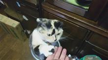 おかえりぴょん吉(#^.^#)