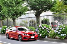 近所の紫陽花をバックに愛車撮影♪