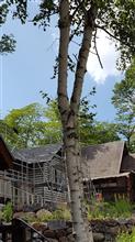 清里 清里