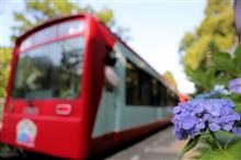 片っ端から何が何でも鉄道を撮ってドライブへ行こう、フルオート多用と紫陽花も満喫の旅。　箱根登山鉄道前編