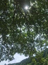 対決!!都内激坂四天坂(当社比) 対決!!都内激坂四天坂(当社比)