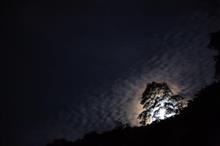 紫陽花を楽しみに、箱根にドライブへ行こう。　　箱根登山鉄道後編