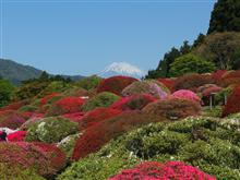 GWの富士山　東南麓ドライブ♪